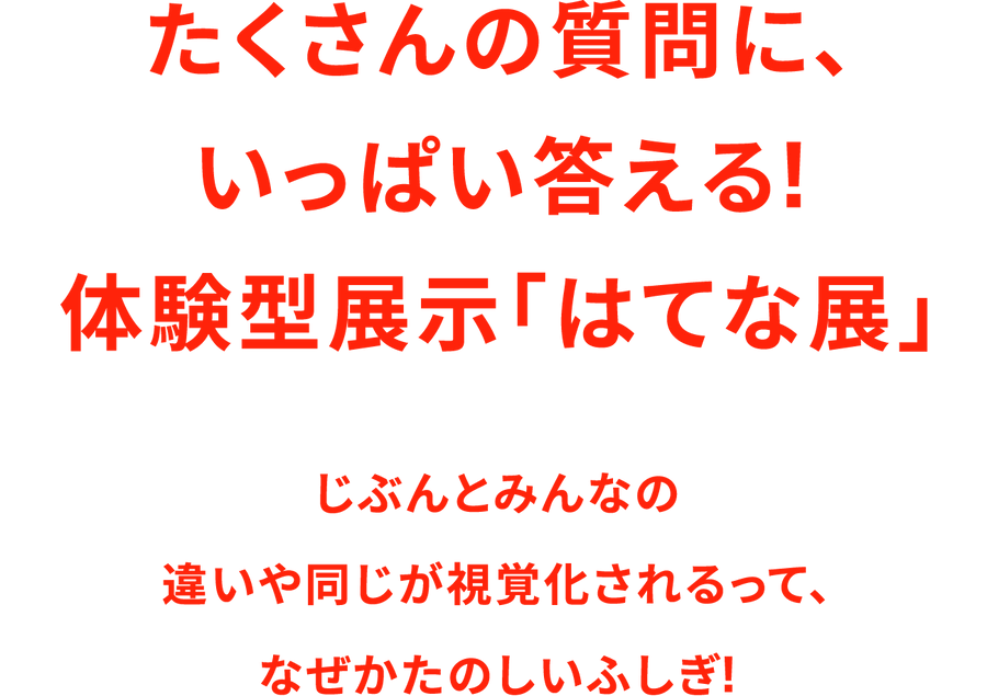たくさんの質問に、いっぱい答える!体験型展示「はてな展」 じぶんとみんなの違いや同じが視覚化されるって、なぜかたのしいふしぎ!